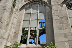 1000042416 1000042416