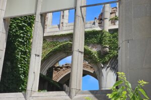 1000042431 1000042431