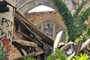 1000042438 1000042438