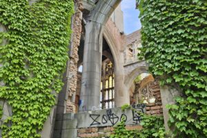 1000042442 1000042442