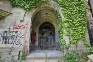 1000042445 1000042445