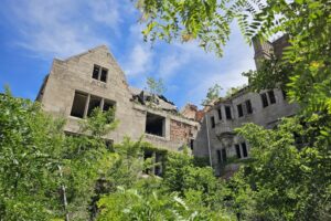 1000042457 1000042457