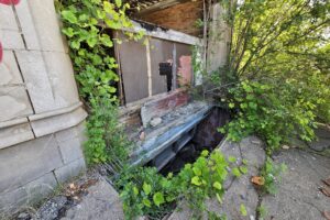 1000042460 1000042460