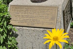 1000042479 1000042479