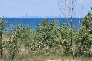 1000042486 1000042486