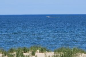 1000042490 1000042490