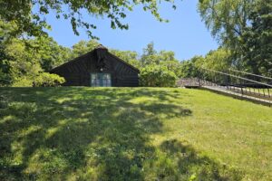 1000042516 1000042516