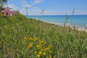 1000042517 1000042517