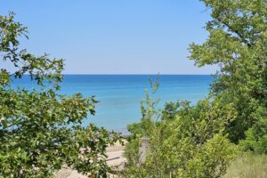 1000042518 1000042518