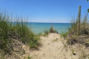 1000042544 1000042544