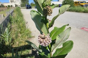 1000042554 1000042554