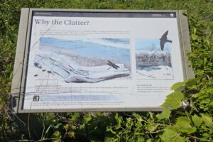 1000042556 1000042556