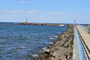 1000042566 1000042566