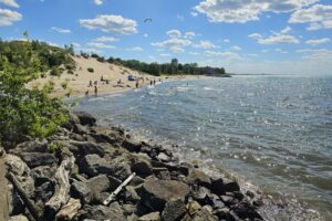 1000042567 1000042567