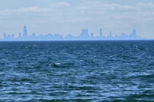 1000042569 1000042569