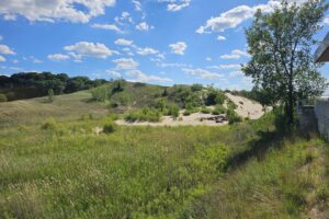 1000042577 1000042577