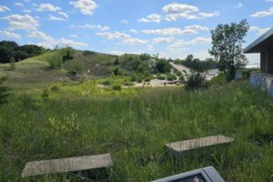 1000042579 1000042579