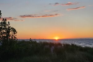 1000042600 1000042600