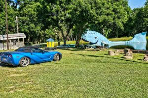 Smurf-vette posing with the Blue Whale