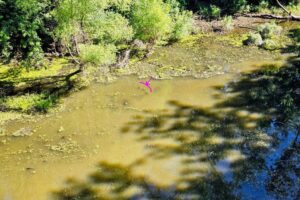 kbconverter.com_16 kbconverter.com_16