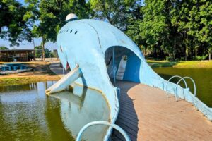 Standing in the Tail of the Blue Whale