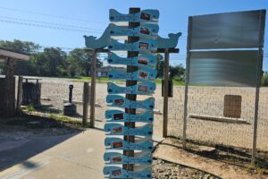 Directions from a whale Directions from a whale