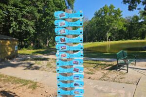 Directional whales Directional whales