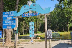 Welcome to the Blue Whale