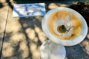 Spring fed fountain Spring fed fountain