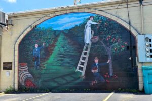 Apples and Berries mural Apples and Berries mural