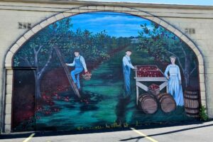 Apples and Berries mural Apples and Berries mural