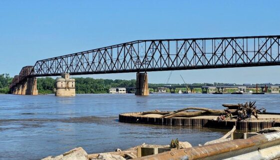 The log on the fishing platform dwarfs the people
