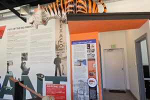 Esso - Put a Tiger in your Tank Esso - Put a Tiger in your Tank