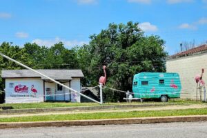 Visitor Center with flamingos Visitor Center with flamingos