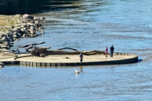 A view of people fishing down below - look at the log on the pier A view of people fishing down below - look at the log on the pier