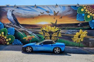 Route 66 sunset, bird, butterflies and flowers mural Route 66 sunset, bird, butterflies and flowers mural