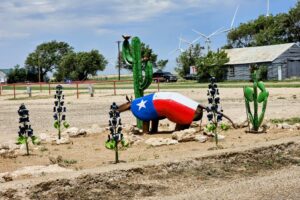 A Texas proud armadillo A Texas proud armadillo