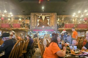 The steak challenge area is under the cowhide The steak challenge area is under the cowhide