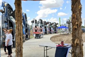 Bug Ranch - buried limos Bug Ranch - buried limos